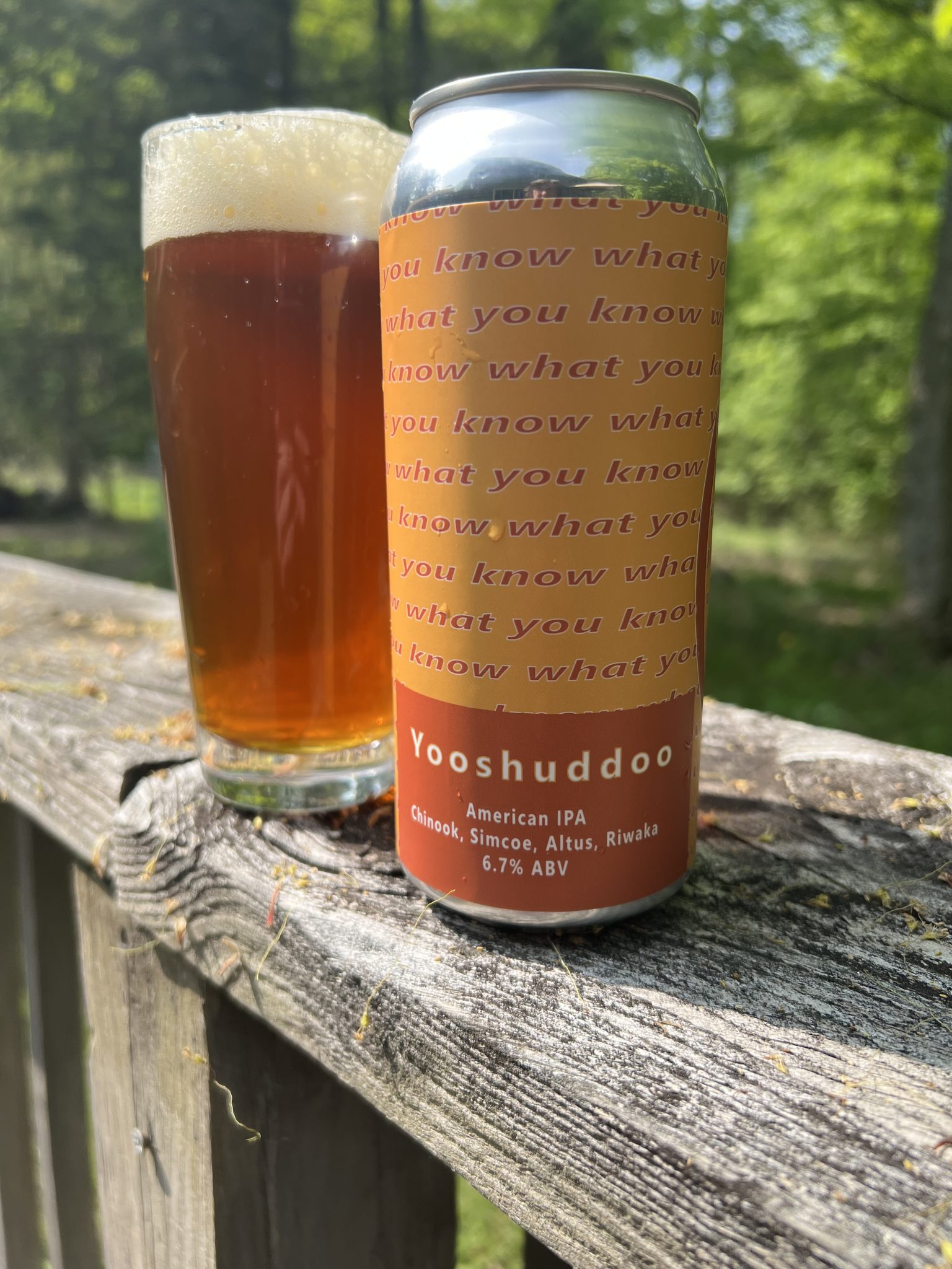 Yooshuddoo: American IPA